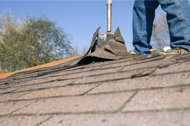 Worker Removing Old Shingle Roof for Replacement